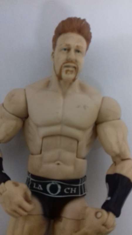 WWE 8 Action Figures
